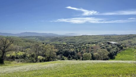 prato maremmano