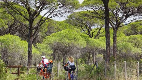 Bici in maremma