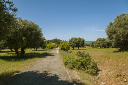Parco dell'Uccellina