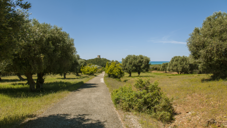 Parco dell'Uccellina
